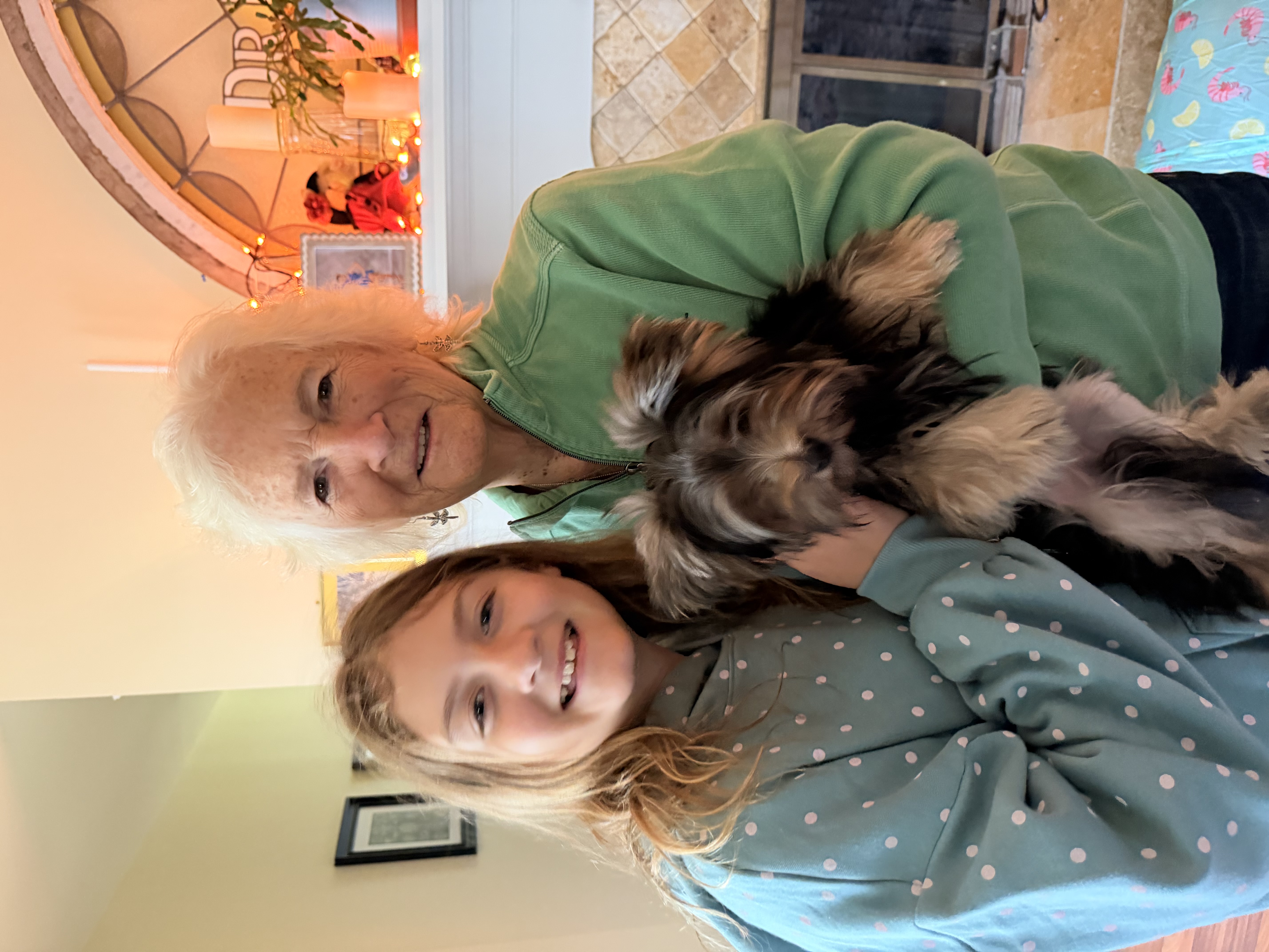 A XOXO Yorkie with their happy family