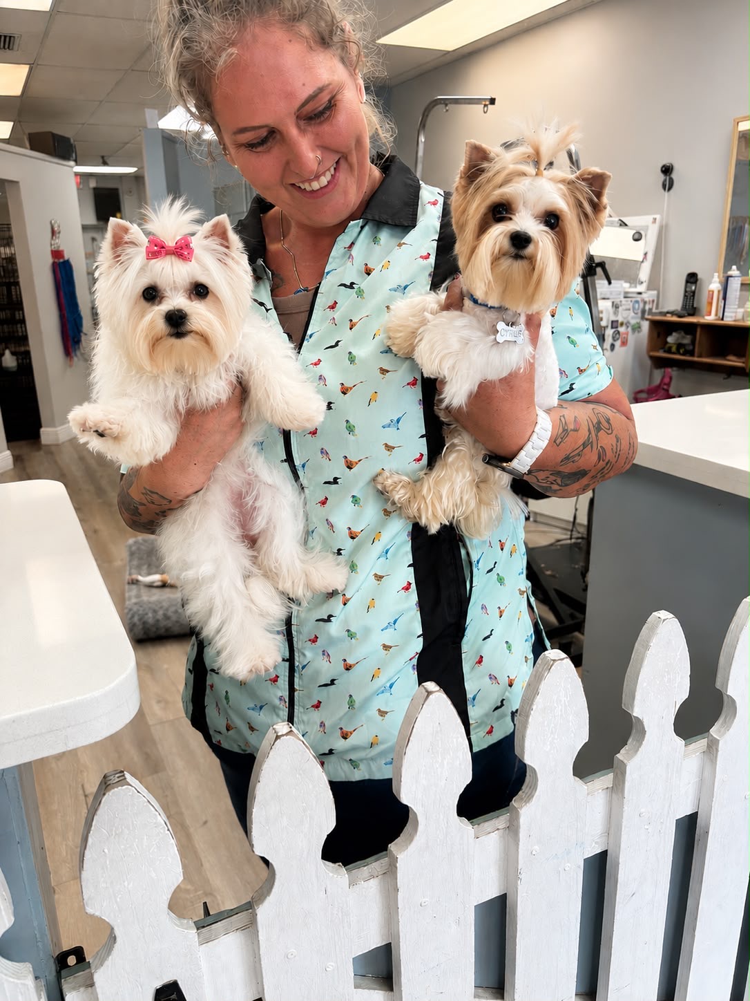 XOXO Yorkie