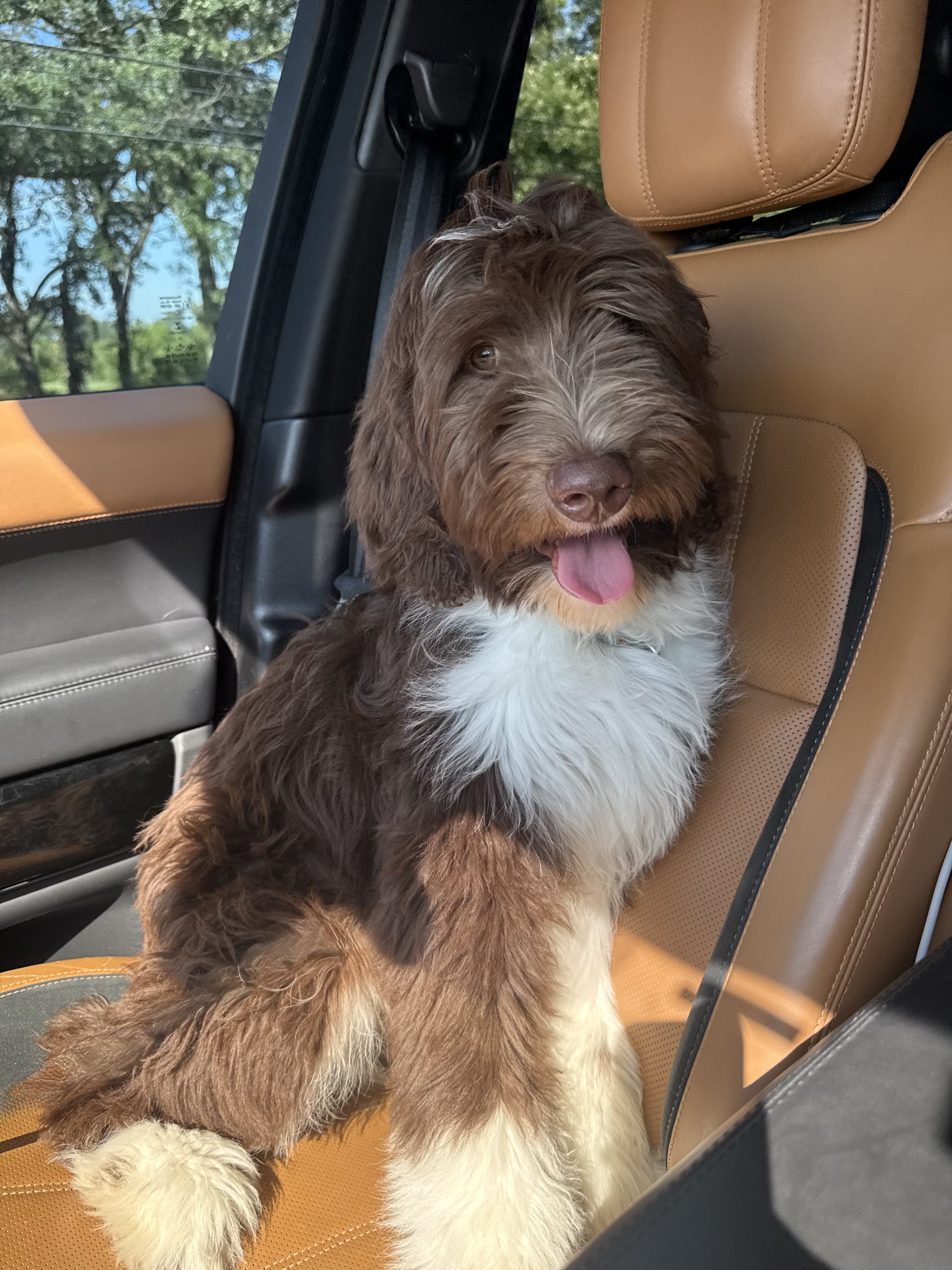 Major at home with Christine White