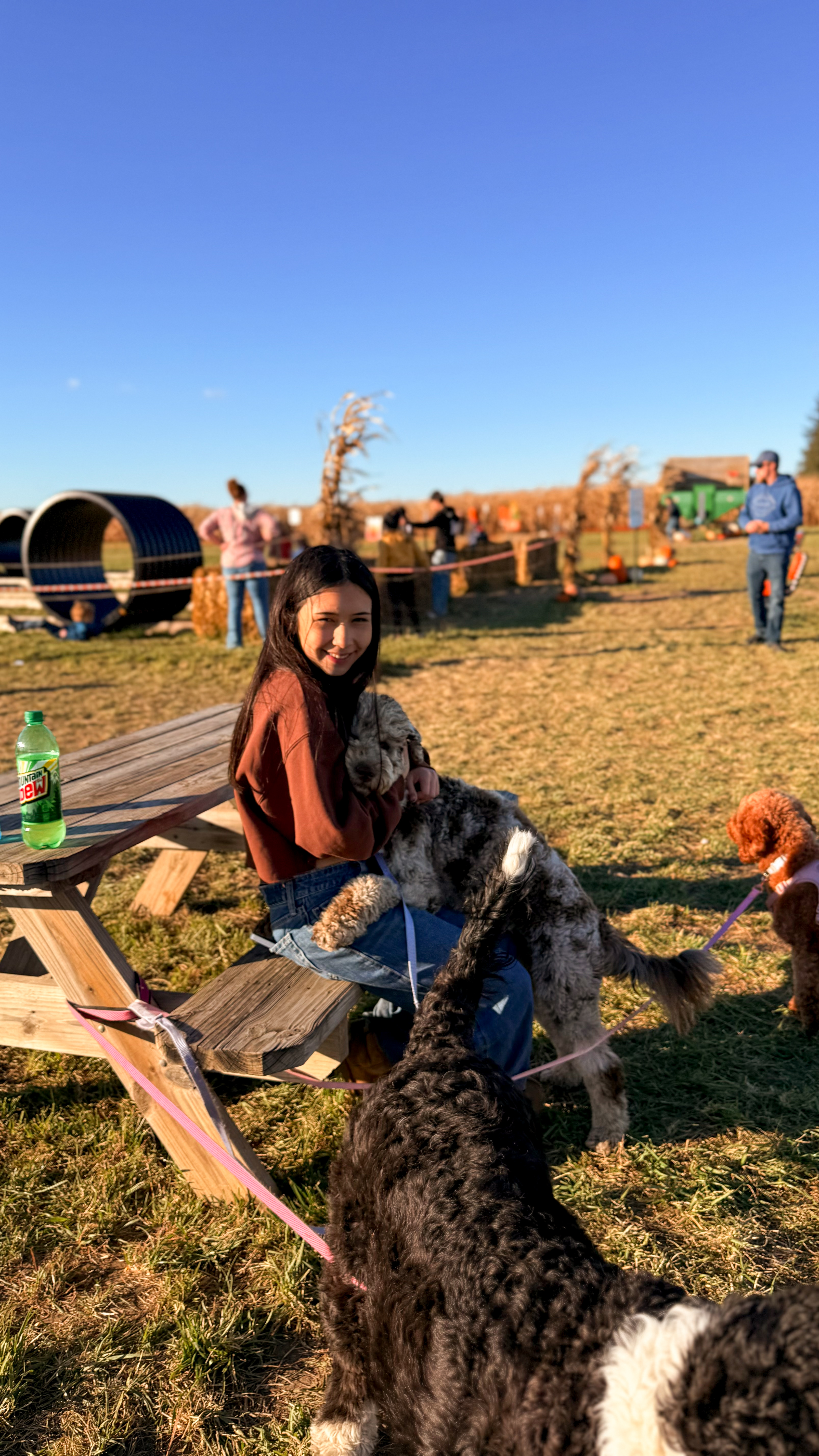 An A.N.A. Doodles family with their dog