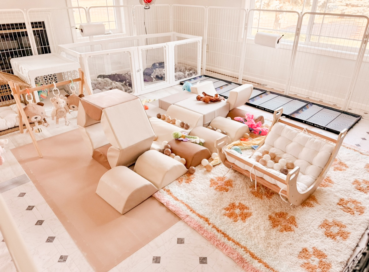 Puppy play area