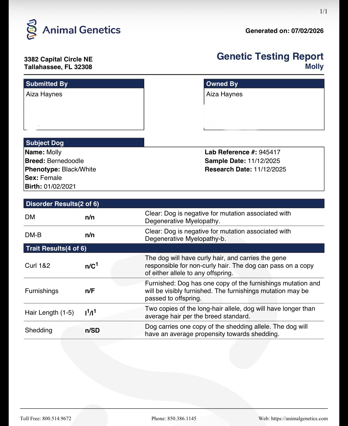 Molly — Animal Genetics