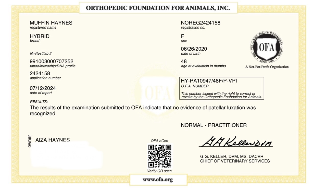 Muffin — OFA patella evaluation