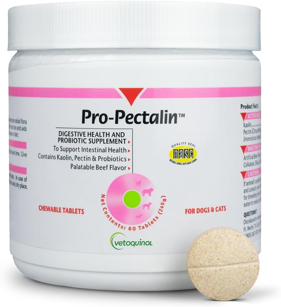 Vetoquinol Pro-Pectalin Chewable Probiotic for Pets, 60 Count Chewable Probiotic Supplement, For Dogs and Cats, Support the Digestive System, Supports Stool Firmness and Gut Flora by Vetoquinol